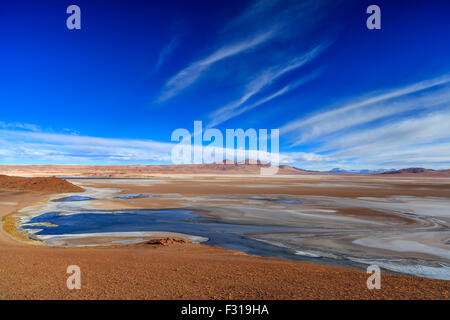 Vista panoramica del Salar de Tara (riserva nazionale di Los Flamencos, Atacama, Cile) Foto Stock