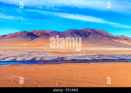 Salar de Tara con colline colorate sullo sfondo (riserva nazionale di Los Flamencos, Atacama, Cile) Foto Stock