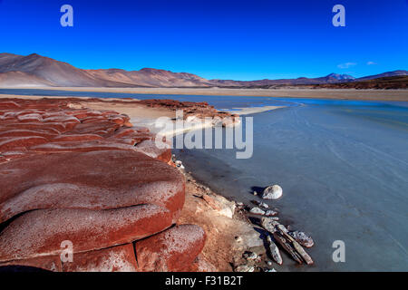 Las Piedras Rojas. Salar de Aguas Calientes (Riserva Nazionale di Los Flamencos, Atacama, Cile) Foto Stock