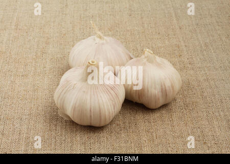 Aglio su tela di lino. Primo piano Foto Stock