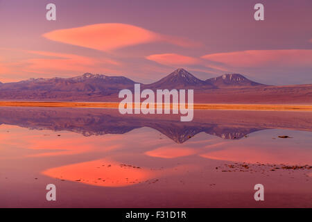 Volcan Licancabur riflessa nella Laguna Tebinquinche al tramonto Foto Stock