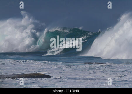 Grande oceano onda, Waimea Bay North Shore Oahu Hawaii USA Foto Stock