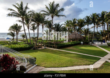 Delray Beach Florida, Wright by the Sea, hotel, Old, Oceano Atlantico, palme, Tiki Hut, cabana, FL150415001 Foto Stock