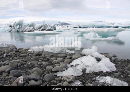 Piccolo e Grande glaciale pezzi di ghiaccio/iceberg sulla spiaggia rocciosa di Jökulsárlón, Islanda. Foto Stock