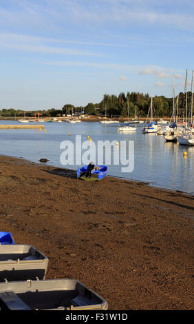 Plage de Conleau con barche Presqu'ile de conleau, Vannes, Morbihan, in Bretagna, in Francia, in Europa Foto Stock