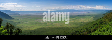 Tanzania, Regione di Arusha, Ngorongoro Conservation Area, paesaggio del cratere Foto Stock