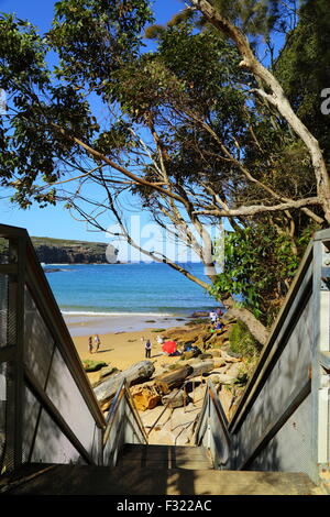 Le fasi che conducono alla spiaggia Wattamolla sul Nuovo Galles del Sud costa a sud di Sydney, all'interno del Royal National Park. Foto Stock