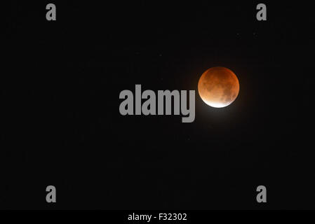 Stirlingshire, Scotland, Regno Unito. Il 28 settembre 2015. Durante l'eclisse lunare, la luna piena è stata attenuata a sufficienza per le stelle per essere visto. Credito: kayrtravel/Alamy Live News Foto Stock