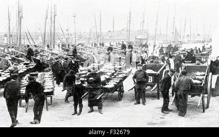 Questa foto da 1906 mostra il pesce arriva sul molo della città francese Boulgne-sur-Mer. I pesci sono disposti su carrelli e pronti per la vendita, freschi dal mare. Foto Stock