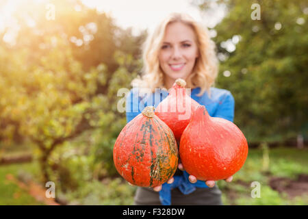 Bella donna Raccolta zucche Foto Stock