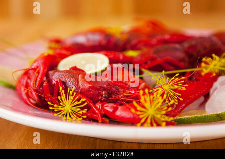 Immagine di una piastra di appena pescato il gambero di fiume. Foto Stock