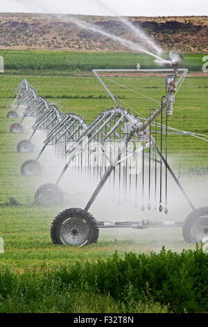 Raft River, Idaho - Irrigazione usando un centro-pivot impianto sprinkler. Foto Stock