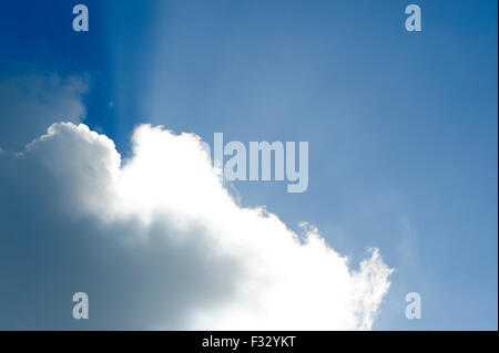 Nuvola grande contro il cielo blu con alberi di luce del sole splendente da dietro Foto Stock