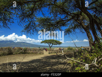 Tanzania, Regione di Arusha, Ngorongoro Conservation Area, villaggio Masai recinzione Foto Stock