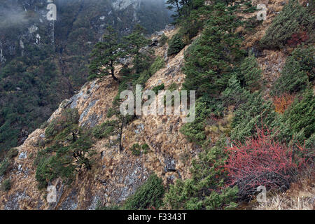 New Scenic 5 posti di Bhote Khosi river valley Nepal Foto Stock