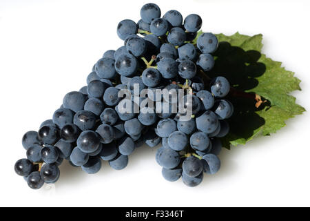 Dornfelder, Rotwein, Rote, Weintrauben, Foto Stock