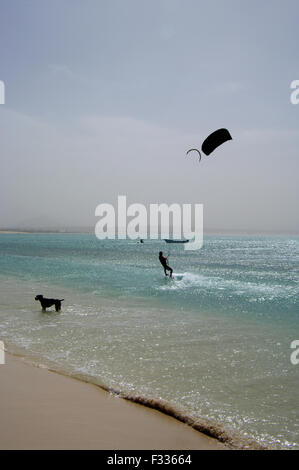 Uomo di kitesurf con un cane cercando in altro modo su di una spiaggia idilliaca a Boa Vista sull'isola repubblica di Capo Verde Foto Stock