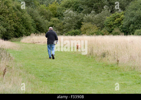 Uomo che parla al telefono cellulare mentre gettando palla usando chuck-it Giocattolo per cane in campagna a Bedford, Bedfordshire, Inghilterra Foto Stock