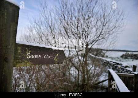 Segno su Ken Dee paludi RSPB riserva a goose piattaforma di osservazione Galloway Scozia Dicembre Foto Stock