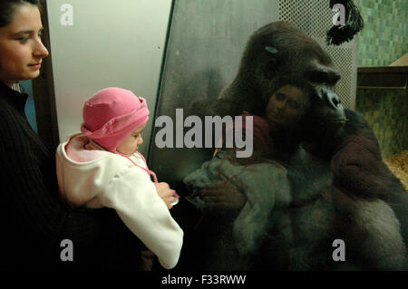 Mutter mit Kleinkind und Gorilla-Maennchen Ivo am 19. Oktober 2005 im Zoo in Berlin-Charlottenburg. Foto Stock