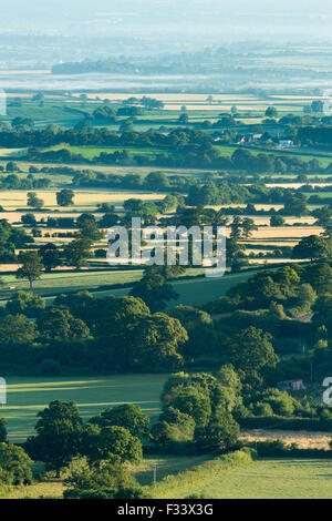 Bulbarrow collina vicino bambino Oakford nella nebbia, Dorset, England, Regno Unito Foto Stock