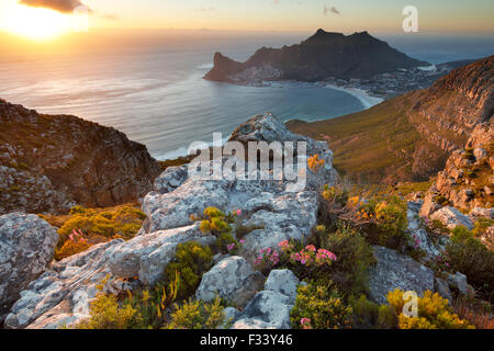 Hout Bay, dal Table Mountain National Park, Western Cape, Sud Africa Foto Stock