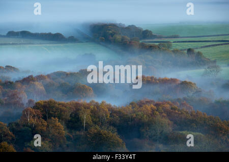 Una nebbiosa mattina sulla isola di Purbeck nr Corfe Castle, Dorset, Inghilterra Foto Stock