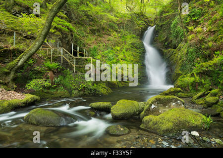 Dolgoch Falls, Gwynedd, Wales, Regno Unito Foto Stock