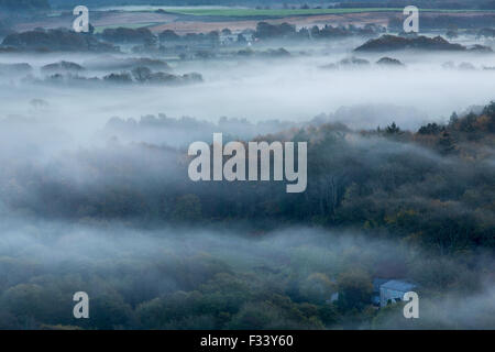 L'Isola di Purbeck nelle vicinanze Corfe Castle nella nebbia all'alba, Dorset, England, Regno Unito Foto Stock
