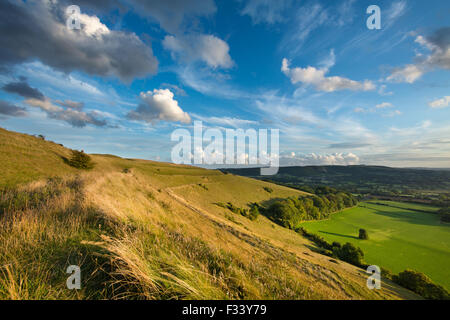 Hambledon Hill, una collina preistorica fort vicino Blandford Forum Foto Stock