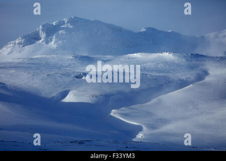 Il ghiacciaio Snaefellsjökull, Penisola Snaefellsness, Islanda Foto Stock