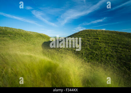 La western bastioni di Maiden Castle, un'età del ferro hill fort vicino a Dorchester Dorset, England, Regno Unito Foto Stock