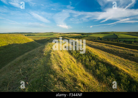 La western bastioni di Maiden Castle, un'età del ferro hill fort vicino a Dorchester Dorset, England, Regno Unito Foto Stock