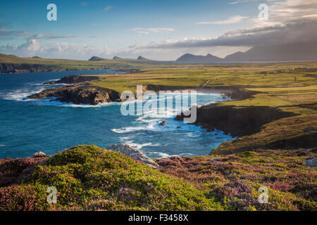 Alba vista sulla baia di Ballyferriter, Sybil punto e i picchi delle Tre Sorelle, penisola di Dingle, nella contea di Kerry, Irlanda. Foto Stock