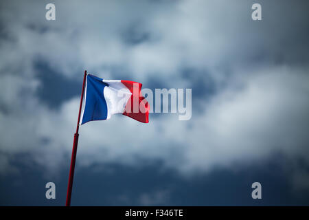 Bandiera francese, Pays de Bergerac, Périgord e Dordogna, Aquitaine, Francia Foto Stock
