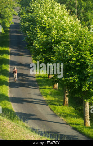 Wendy a piedi lungo un viale alberato a Beaumont du Périgord, Pays de Bergerac, Dordogne, Aquitaine, Francia Foto Stock