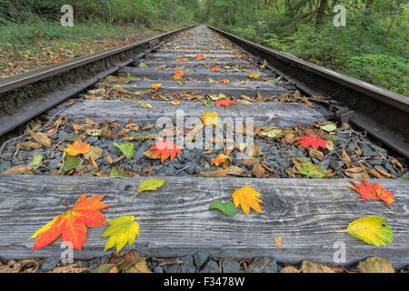 Convoglio ferroviario via con colorati cadono le foglie in autunno Foto Stock