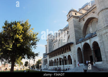 Un tipico moschea di Istanbul come un patrimonio storico e architettonico monumento religioso. Foto Stock