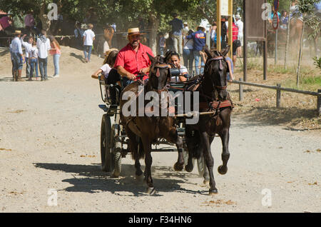 Carrozza a cavallo, tradizionale pellegrinaggio cattolico, romeria Virgen del Rosario, Fuengirola, Andalusia, Spagna. Foto Stock