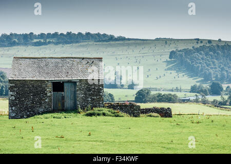 Cumbria vecchio fienile in estate nei pressi del fiume Lowther a Helton con una collina di giovani alberi punteggiato sotto il sole Foto Stock