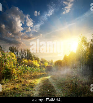 Nebbia in legno di autunno al sunrise Foto Stock