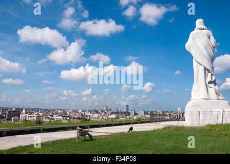 Alimentazione di capre per motivi di Cristo de La Habana 'Cristo dell' Avana un 20 metri di statua che domina il porto di Havana. Foto Stock