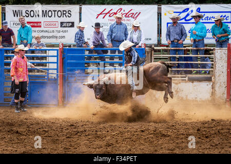 Bull concorso di equitazione, Philomath Frolic & Rodeo, Oregon, Stati Uniti d'America Foto Stock