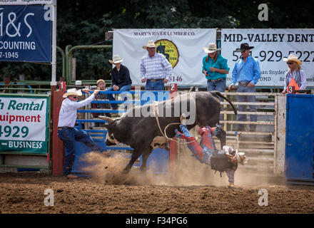 Bull concorso di equitazione, Philomath Frolic & Rodeo, Oregon, Stati Uniti d'America Foto Stock