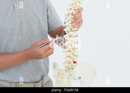 Medico che mostra la colonna vertebrale anatomica Foto Stock