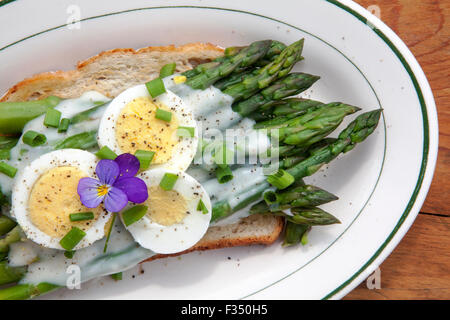 Gli asparagi su pane tostato condito con besciamella, una leggera crema bianca salsa, fette di uova sode, erba cipollina e pepe nero. Foto Stock