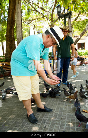 Senior gentleman alimentare gli uccelli Foto Stock