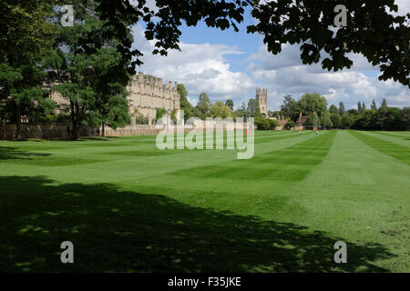 Il Magdalen Tower e Merton College dal campo di Merton, Università di Oxford, Oxford, Inghilterra. Foto Stock