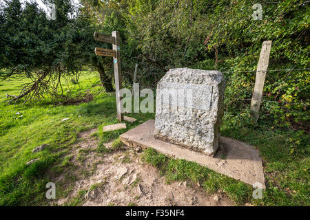La sorgente del fiume Tamigi, nel Gloucestershire, Regno Unito Foto Stock