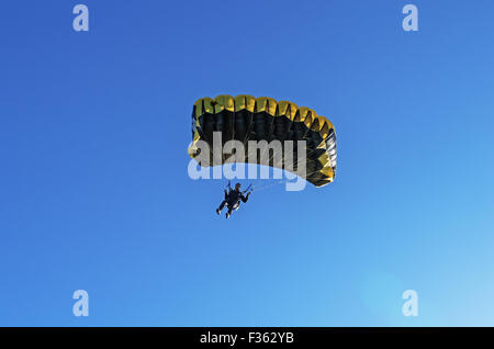 Paracadutisti - 2014. Volo nel cielo blu. Foto Stock